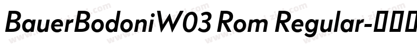 BauerBodoniW03 Rom Regular字体转换